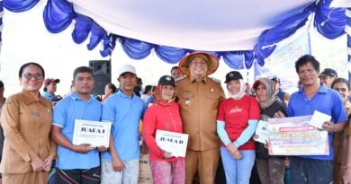 Pemkab Samosir Gelar Tanam Padi Bersama dan “FESTIVAL MANUAN EME”