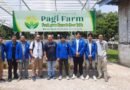 Tanam Harapan di Tengah Beton: UPER Hadirkan Urban Farming yang Ramah Lingkungan