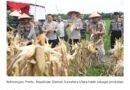 Polri Fasilitasi Permodalan KUR dan Penyerapan Bulog bagi Petani Jagung