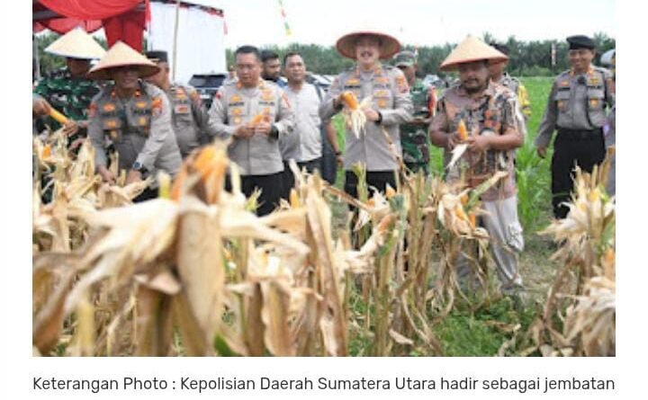 Polri Fasilitasi Permodalan KUR dan Penyerapan Bulog bagi Petani Jagung