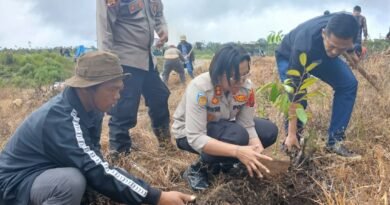 Kapolres Samosir Bersama Yayasan Keutuhan Ciptaan Ordo Kapusin Tanam Pohon di Partukko Naginjang