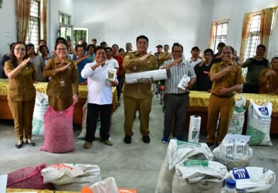 Bupati Samosir Serahkan Bantuan Bibit untuk Pengembangan Cabai dan Bawang Merah
