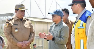 Bupati Vandiko Siapkan Samosir Jadi Sentra Bawang Putih, Gandeng Pemerintah Pusat