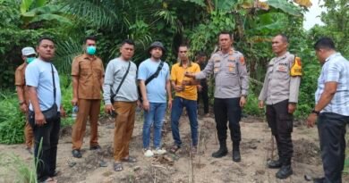 Temukan Tanaman Ganja, Polsek Tanjung Morawa Polresta Deli Serdang Amankan Pelaku
