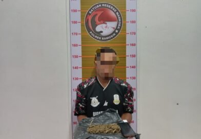 Polres Samosir Ringkus Dua Pria Pemilik Ganja di Pangururan