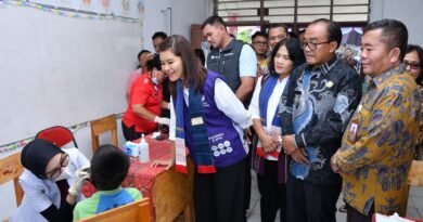 Wabup Samosir, Sambut Kehadiran, Ketua Pembina Posyandu Sumut