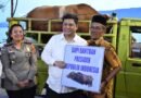 Bupati Samosir Serahkan Hewan Qurban Bantuan Presiden dan Pemkab