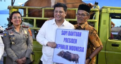Bupati Samosir Serahkan Hewan Qurban Bantuan Presiden dan Pemkab